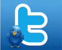 Twitter Marketing For Business